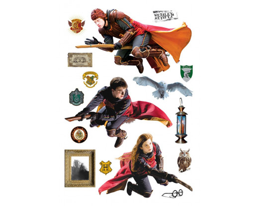 DKM 1645 Harry Potter falmatrica